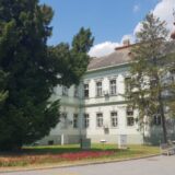 Zrenjaninska akcija: Regionalni vodovod jedino rešenje za pijaću vodu 1