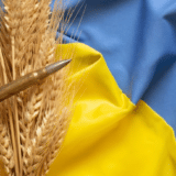 Šnajder: Putin, po ugledu na Staljina i Hitlera, ima plan za glad 21. veka 6