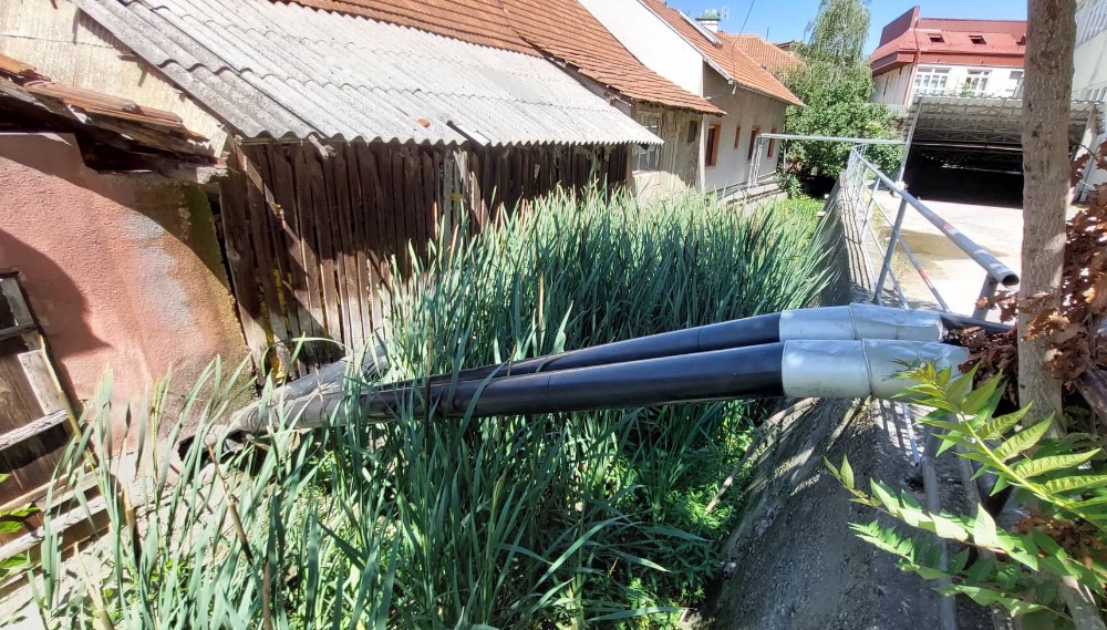 Smeće, zmije i pacovi u centru Zaječara 3