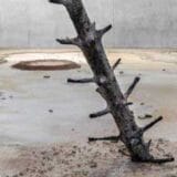 otobong nkanga foto promo