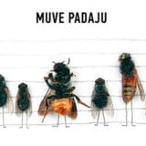 muve padaju