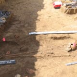 viminacijum foto promo