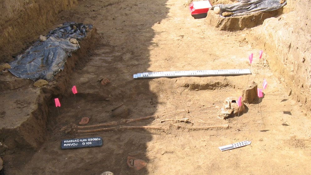 viminacijum foto promo