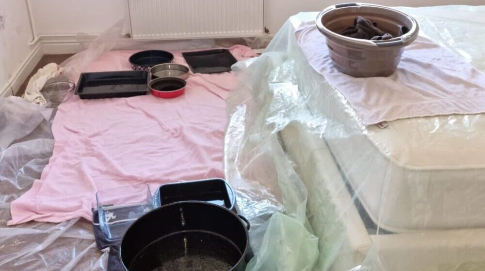 "Moj sin i snaha spavaju pod mlazevima vode s plafona": Stan u Leskovcu prokišnjava, upravnik zgrade kaže da nema novca za popravku krova 1