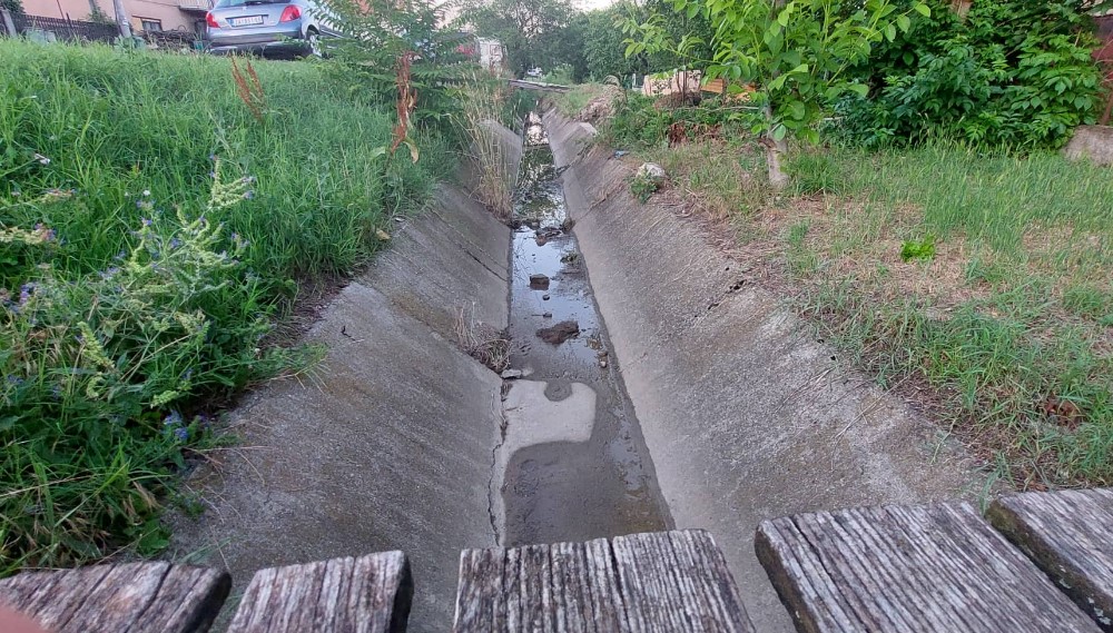 Građani dela Zaječara žive kao u rezervatu: Do glavne ulice isprečila se jaruga, prave mostove da bi izašli iz kuća 4 Građani dela Zaječara žive kao u rezervatu: Do glavne ulice isprečila se jaruga, prave mostove da bi izašli iz kuća 4