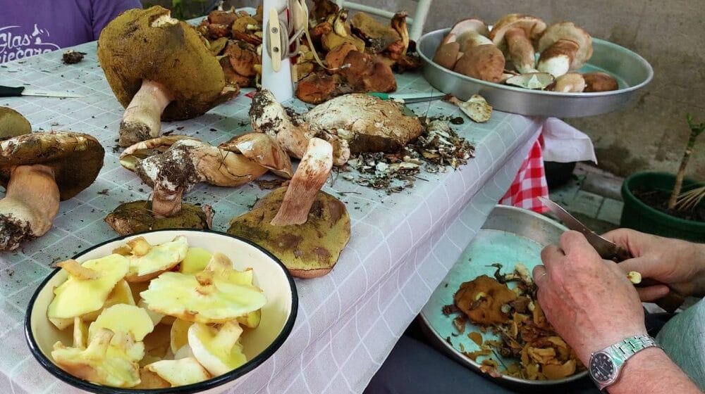 Šabac: Više osoba otrovano gljivama sa pijace 1