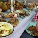 Šabac: Više osoba otrovano gljivama sa pijace 1