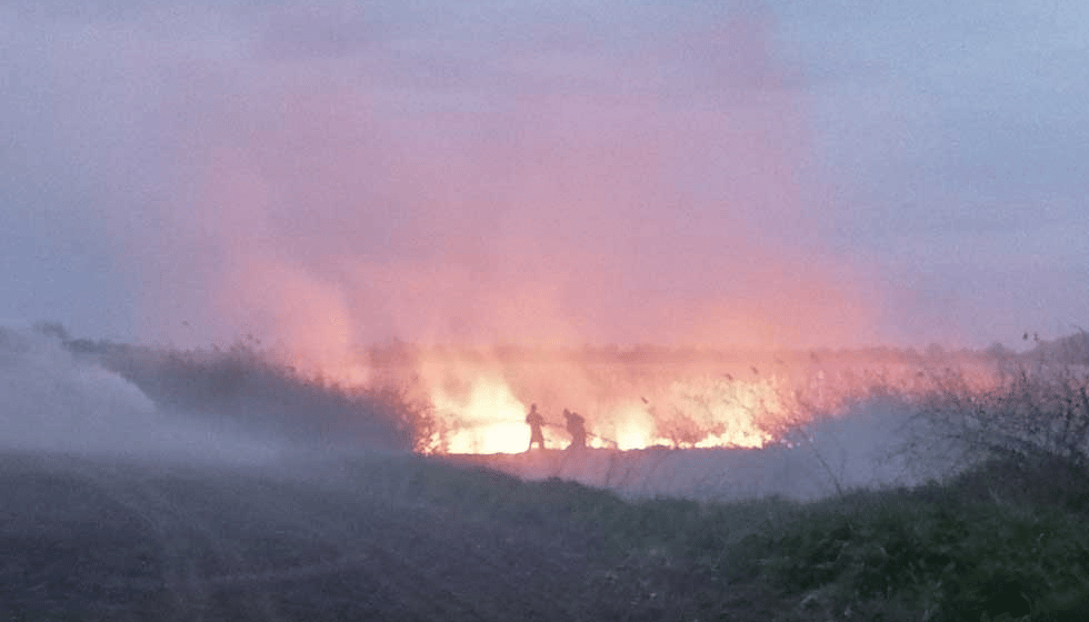 U Zrenjaninu povećan broj požara zbog paljenja korova i trske 1