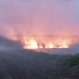 Zašto su požari u Južnoj Koreji tako razorni? 5