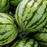 "Crna" lubenica prodata za 4.300 evra, seme možete kupiti i u Srbiji 1