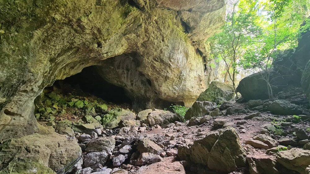 U Sesalačkoj pećini kod Sokobanje naučnici otkrili novu vrstu gljive, nazvali je po Betmenu 1
