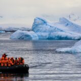 Skriveni, morski svet otkriven u antarktičkoj „reci“ pod ledom 2