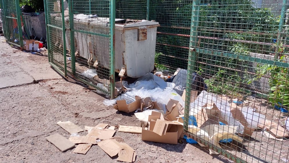 Smeće, zmije i pacovi u centru Zaječara 5