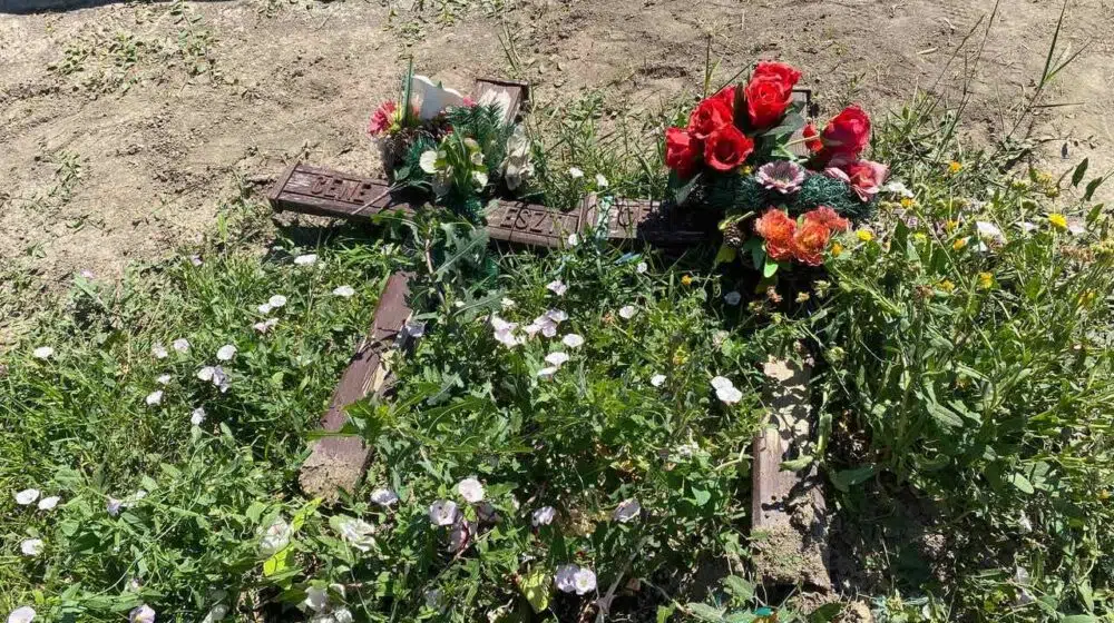 Oskrnavljeni nadgrobni spomenici u Plemetini kod Obilića 8