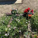 Oskrnavljeni nadgrobni spomenici u Plemetini kod Obilića 11