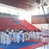 Dobri rezultati mladih karatistkinja iz Zaječara 12