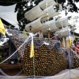 Šri Lanka daje slobodni dan nedeljno državnim službenicima kako bi gajili useve i sprečili nestašicu hrane 2