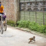 "Živimo u Srbistanu": Šta znači kada se ime države završava na 'stan' i zašto ovaj sufiks nosi negativnu konotaciju? 3