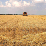 Zrenjanin subvencioniše kredite za poljoprivrednu mehanizaciju 5