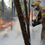 Razorni šumski požari šire se Portugalom, Španijom i Francuskom 3