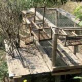 Zbog sumnje da je zlostavlao životinje muškarcu iz Prokuplja preti krivična prijava 1