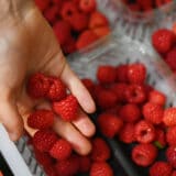 Malinari Srbije sutra sa ministarkom poljoprivrede o umanjenju ugovorenih cena i neisplaćenom dugu 7