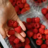 Malinari Srbije sutra sa ministarkom poljoprivrede o umanjenju ugovorenih cena i neisplaćenom dugu 11