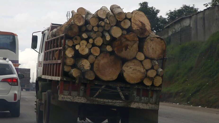 Cene ogreva počele da padaju: Koliko su pojefitinili drva i pelet i gde u Srbiji je najjeftinije? 2