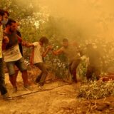 Šumski požari i Balkan: Grci strahuju da će megapožari postati nova normalnost Mediterana 14