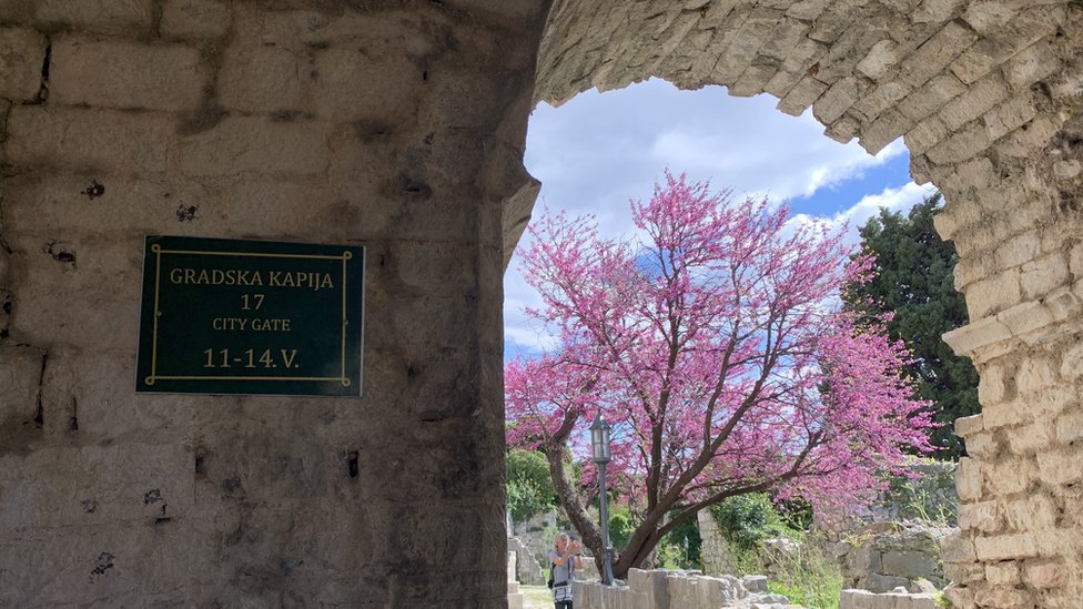 Crna Gora i priroda: Stara maslina u Baru - majka, hraniteljica i sveto drvo 6 Nedaleko od Stare masline je dobro očuvani srednjevekovni grad Stari Bar