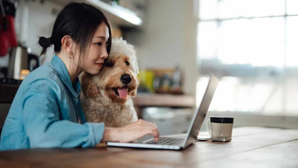 Holandija, posao i prava radnika: Usvojen Zakon o radu od kuće, hoće li i ostatak Evrope slediti 1 žena radi od kuće