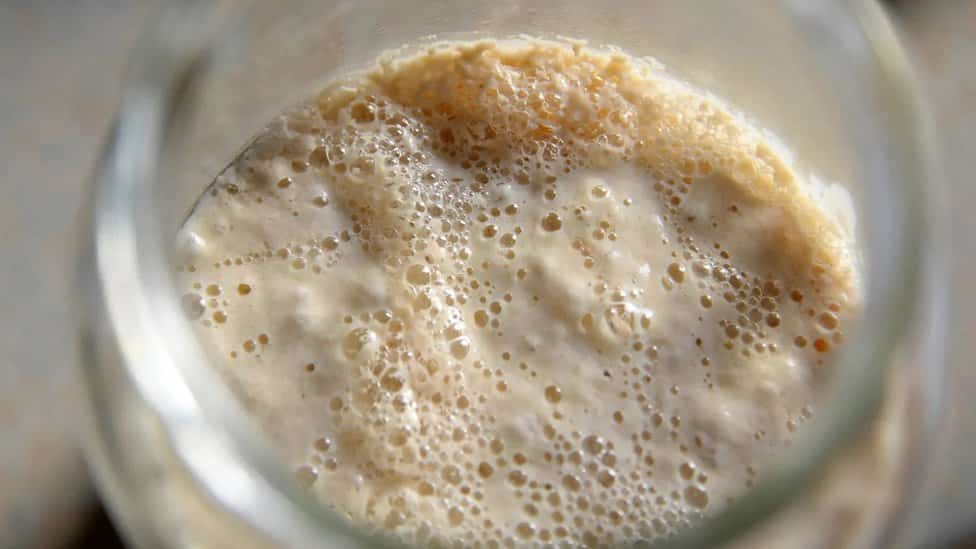 Hrana i istorija: Koje je najstarije kiselo testo na svetu 2 Kvasac troši ugljene hidrate u brašnu i pretvara ih u ugljen-dioksid, dajući kiselom testu mehuriće