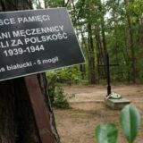 Drugi svetski rat i zločini nacista: Pepeo 8.000 nacističkih žrtava pronađen u masovnoj grobnici u Poljskoj 4