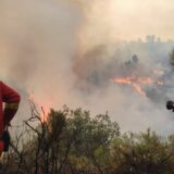 Evropa i požari: Hiljade ljudi pobeglo od požara u Franuskoj, toplotni talas odnosi žrtve u Portugalu i Španiji 1