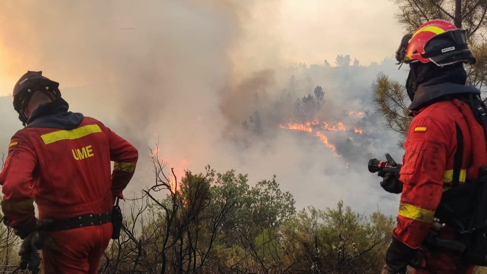 Evropa i požari: Hiljade ljudi pobeglo od požara u Franuskoj, toplotni talas odnosi žrtve u Portugalu i Španiji 1 Firefighters were deployed to stop blazes spreading in the Cáceres in western Spain