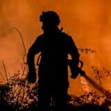 Toplotni talas i požari u Evropi: Požari besne Mediteranom, hiljade ljudi evakuisano 7