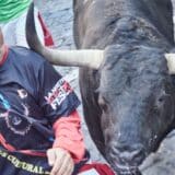 Španija i životinje: Troje mrtvih u trkama sa bikovima u regionu Valensije u 24 sata 10