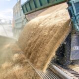 Rusija i Ukrajina: Očekuje se dogovor o izvozu ukrajinskih žitarica, Amerika kupuje rusko đubrivo 13