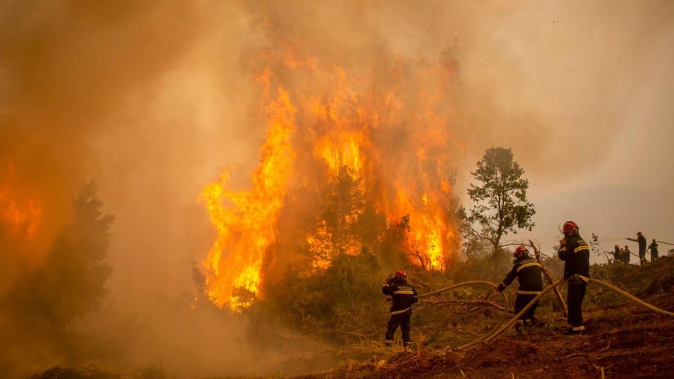 Visoke temperature i vatrogasci: Kad toplotni talas preti - ko i čime gasi požare u Srbiji 2 Vatrogasci