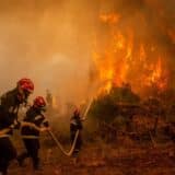 Visoke temperature i vatrogasci: Kad toplotni talas preti - ko i čime gasi požare u Srbiji 3