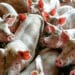 Potvrđen novi slučaj afričke svinjske kuge u Severnoj Makedoniji 2
