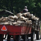 Energetska kriza u Evropi povećala cene ogrevnog drveta 7