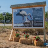 Zaštitni simbol zrenjaninskog sela Taraš je roda Prvoje 2