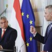 Orban u Beču ponovio antimigrantske stavove, ovog puta nije govorio o nacijama "mešanih rasa" 17