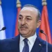 Čavušoglu: Turska od Nemačke očekuje konkretne korake protiv terorizma 18