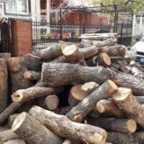 Policija u Surdulici otkrila kamion sa nelegalnom isečenim ogrevnim drvetom 2
