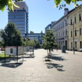 Zrenjanin: Red samo za četvrtu dozu vakcine protiv kovida 8