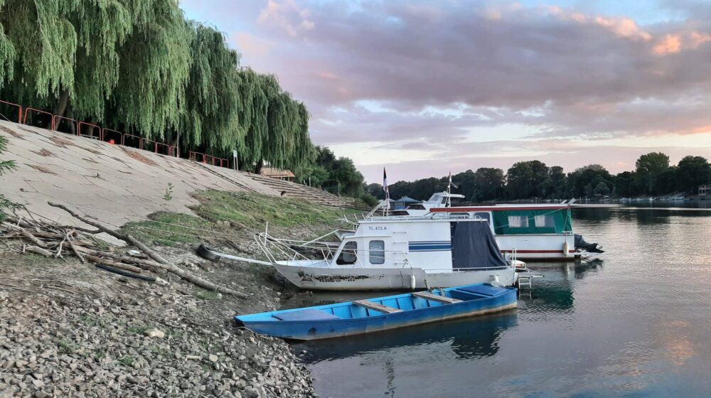 "Čamcem sam po Tisi": Splavarenje Tisom, masaža na traktorkama i pečenje ribe na plaži 1