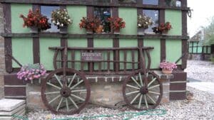 Zbog čega kineski turisti letuju u Mačvi i zašto su im baš tu važna kokošija jaja 5