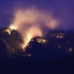 Šumski požar na nemačko-češkoj granici se širi, obližnji nacionalni park u opasnosti 19